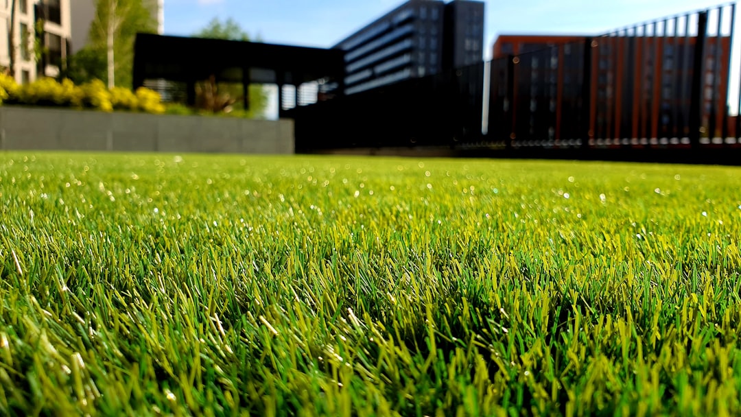 Artificial Grass vs Real UK: Pros & Cons