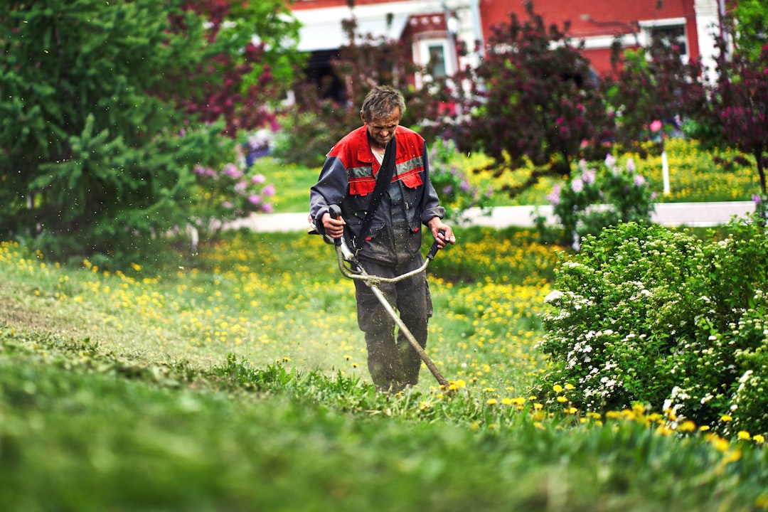Garden Maintenance Checklist: Year-Round